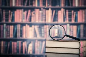 How a Federal Appeal Works
